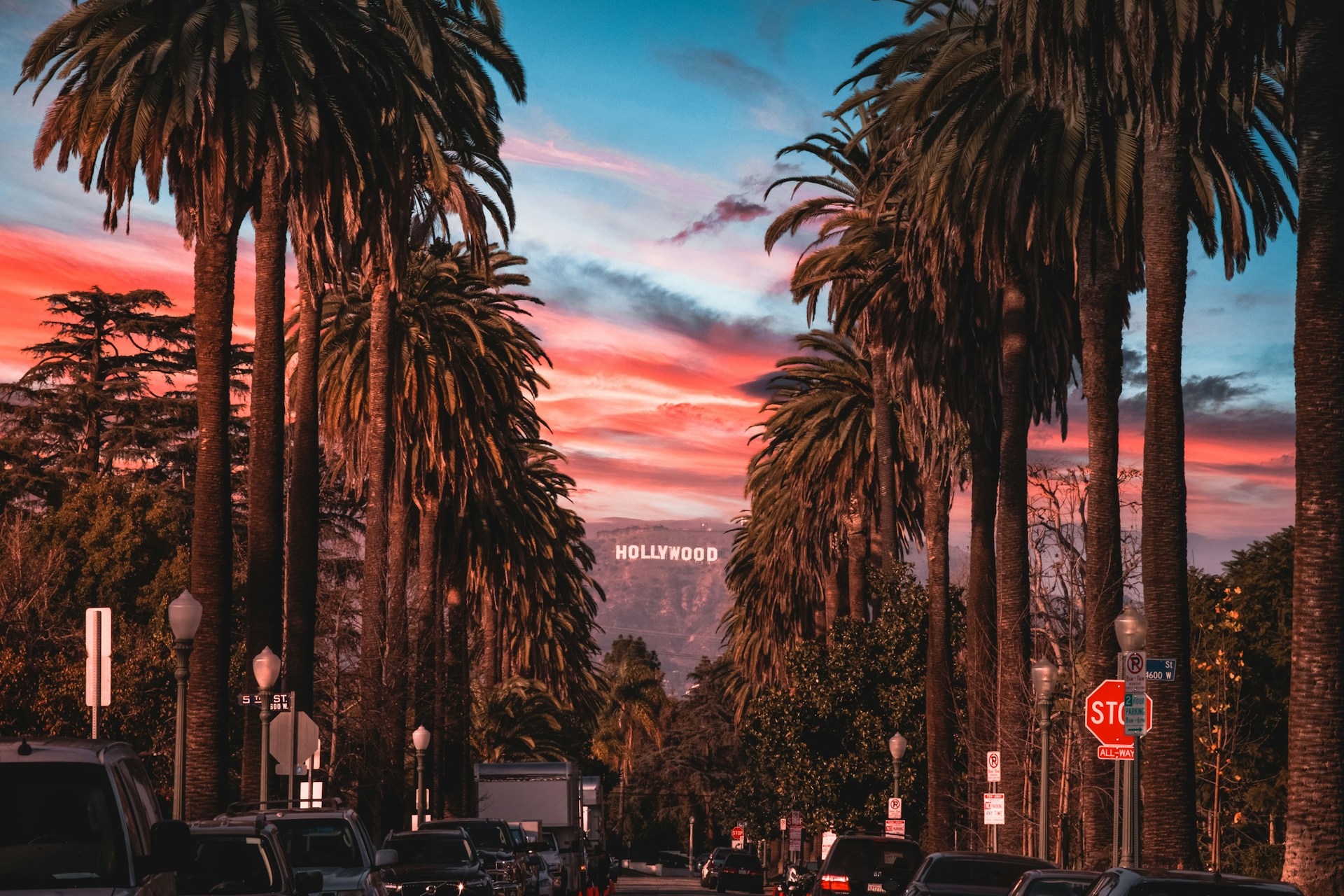 Los Angeles palm trees — Highway 1 Digital is based in LA